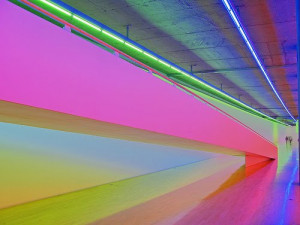 dan flavin biography