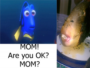 Dory Meme; Dory Finds Out Who She Really Is