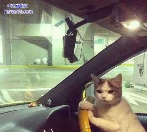 搞笑图片:我要走了，没时间跟你瞎唠了