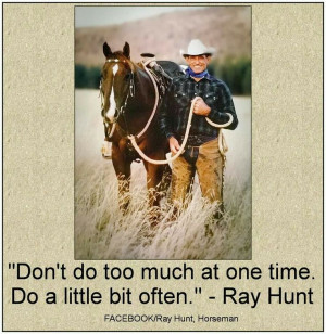 Ray Hunt