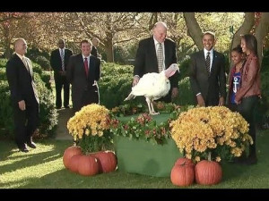 Funny Thanksgiving quotes and Obama's Thanksgiving quotes as he ...