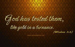 WISDOM 3:6-Bible Quotes HD-WALLPAPERS DOWNLOAD God has tested them ...