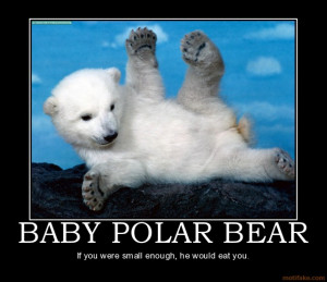 baby-polar-bear-polar-bears-demotivational-poster-1210847568.jpg