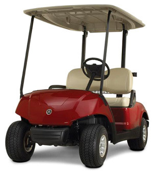 ... golf carts. Since there are varied uses for both gas and electric golf