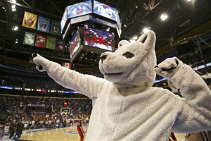 ... Husky Dog: UConn Huskies | Best Sports Mascots | Comcast.net Sports