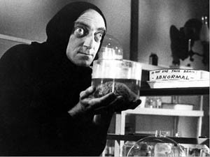 Young Frankenstein the movie,