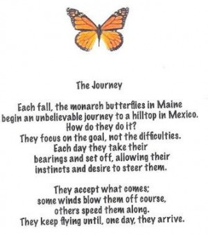 Each Fall The Monarch Butterflies In Maine