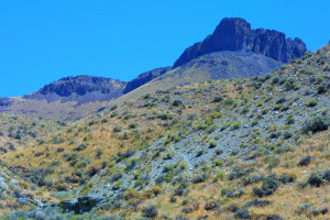 beautiful desert landscapes