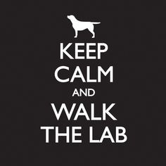 Keep Calm - Mens - Black – Labradors Worldwide Store More