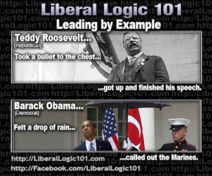 Liberal Logic – January 2014