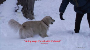 Famous Dog Quotes Funny