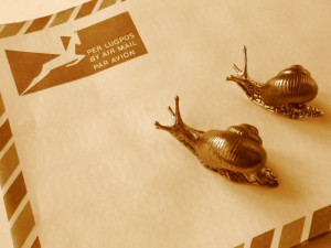 Snail Mail Favorite Pastime