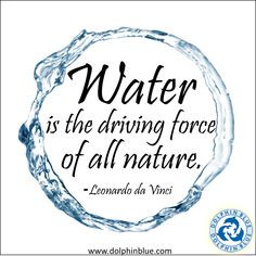 Water is the driving force of all nature.