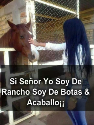 Need more resources about Imagenes De Narco Corridos Vip? You may ...