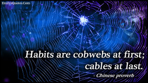 EmilysQuotes.Com - habits, cobwebs, cables, wisdom, proverb, Chinese ...