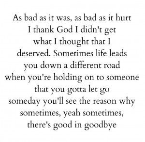 sayings rambling wren country song quotes best country song quotes