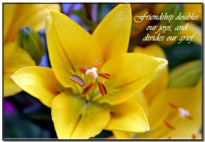 Beautiful Flower With Friendship Quote