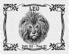 ... Leo Bitch, Leoth Lion, Leo Lion, Graphic Art, Leo Th Lion, Leo Zodiac