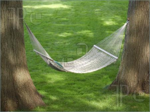 Picture of Summer hammock in the backyard