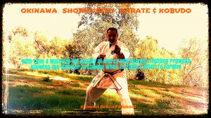 Okinawa Shorinjiryu Karate & Kobudo Organization