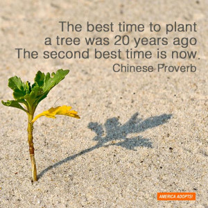 If the standard route for creating a family had worked for me, I ...