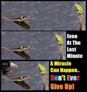Believe in miracles and never give up.