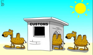 Funny Travel Desert All About