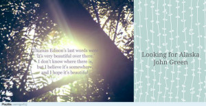 De Nederlands vertaalde versie van Looking For Alaska heet 'Het Grote ...
