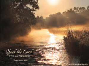 Bible Quote Picture - Seek the Lord with all your heart - Deuteronomy ...