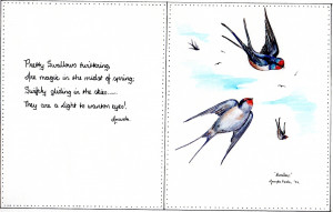 swallows-and-poem008-web.jpg