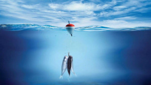 Bass Fishing Wallpaper Desktop