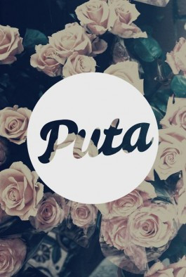 Für alle die's nicht wissen: Puta ist spanisch und heißt soviel wie ...