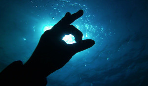 Scuba diving is awesome!