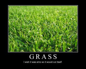 Emo_Grass_by_Voralyn.jpg