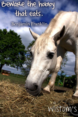 horse quotes (look us up on fb)