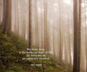 Carl Sagan Quote on Trees - Photo of the Day