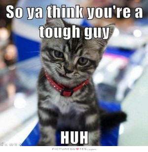 So ya think you're a tough guy huh? Picture Quote #1
