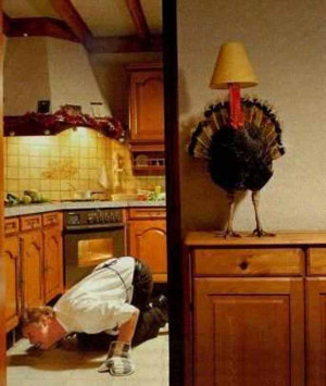 Top 15 Funny Thanksgiving Pictures, quotes & Images