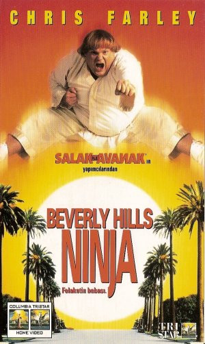 These are some of Beverly Hills Ninja Movie Poster Inter Awards ...