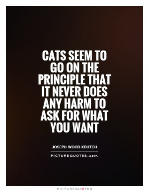 Cats seem to go on the principle that it never does any harm to ask ...