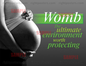 Womb: The ultimate environment worth protecting.