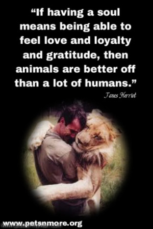 Love Animals Quotes Inspiring quotes for people
