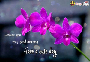 of good morning friends with flowers morning quotes for him good ...