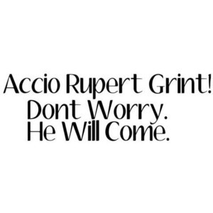 accio rupert grint ron weasley harry potter quote funny sayings raquel ...