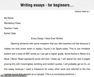 Pretty Much Every Essay I Have Ever Written