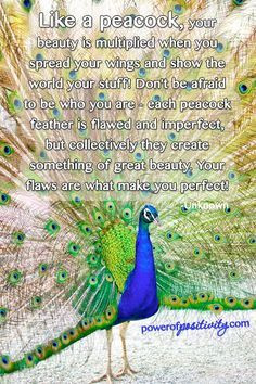 ... peacock art peacock feathers art quotes quotes 3 peacock quotes flaws
