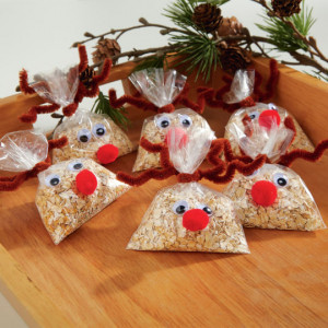 http://www.michaels.com/reindeer-food/B_56981.html