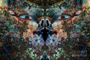 Philosophical Feline Photograph by Warren Sarle - Philosophical Feline ...