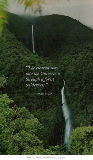 Quotes Nature Quotes Universe Quotes Go Green Quotes Forest Quotes ...