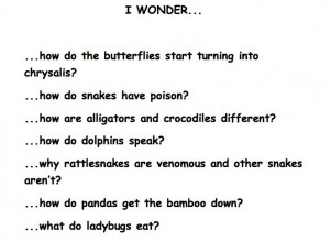 list of questions students may wonder about an animal